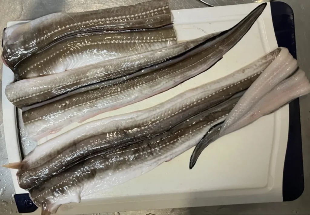 Opened raw anago fillets laid skin-side up on a cutting board