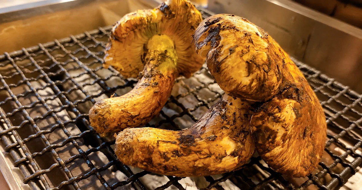 Three whole matsutake mushrooms grilling over charcoal on a wire grate