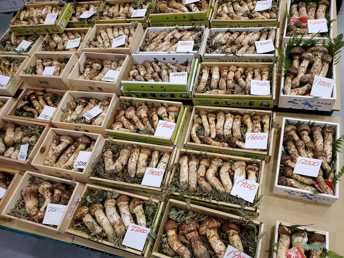 Boxes of matsutake mushrooms displayed with handwritten prices at a Japanese market